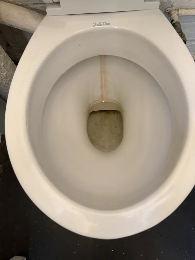 Neglected, stained toilet bowl left by an untrained cleaner